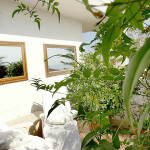 Casa A Santa Marinella
